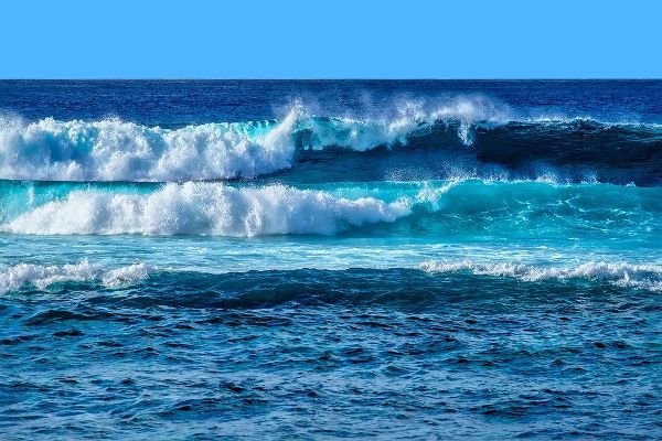 Maui Waves